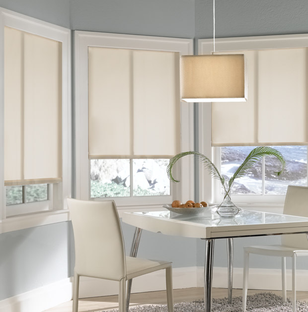 Roller shades in Clearwater